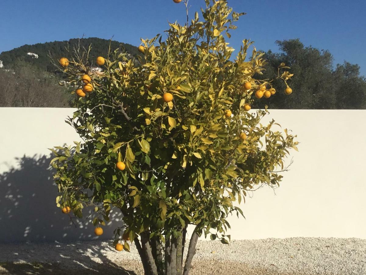 Casita In Javea With Garden And Pool - Dog Friendly! Eksteriør billede